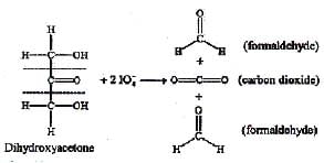 Carbohydrates: Monosaccharides, Disaccharides & Polysaccharides | Chemistry Class 12 - NEET
